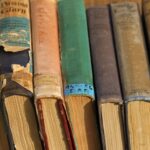 Enseigner la poésie dans une dimension plurilingue et interculturelle. Quelques pistes pour un dialogue entre poésie et traduction