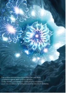 Travailler Ponge : Cut-up, mises en son et en images